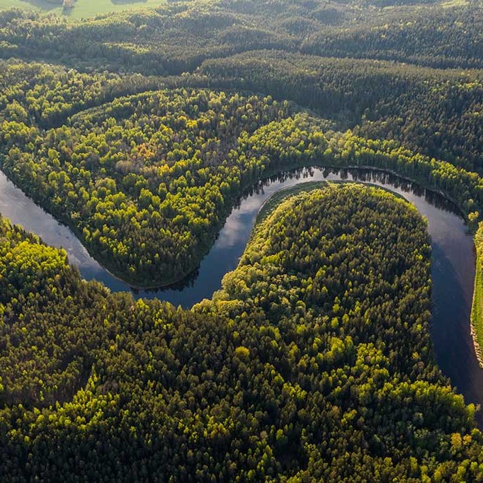 AMAZONAS