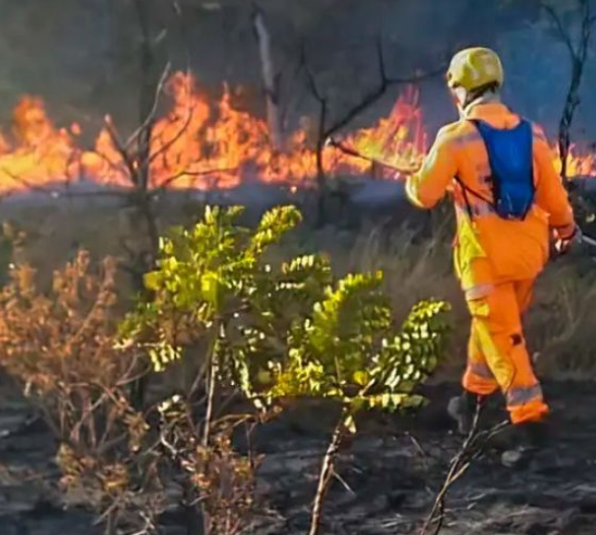 Incêndios devastam MInas Gerais